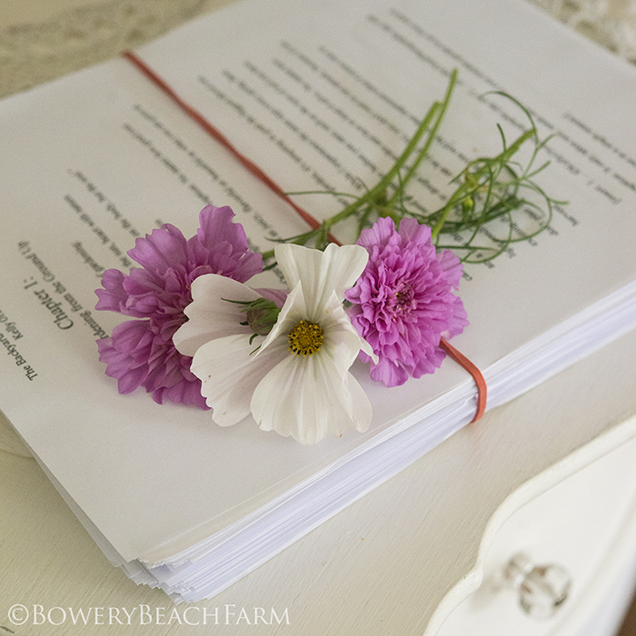 Writing The Backyard Gardener book | Kelly Orzel