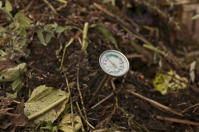 Compost for the Garden | Kelly Orzel