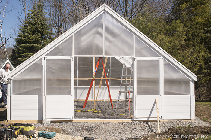 Greenhouse | Kelly Orzel