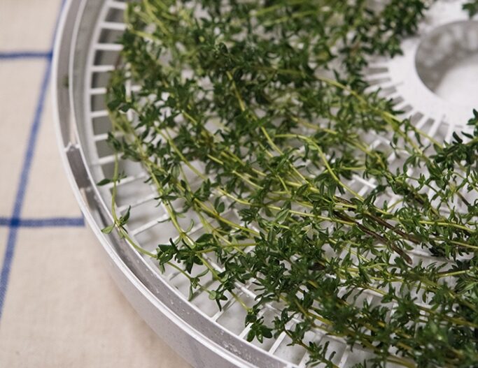 How to Dry Thyme from the Garden | Kelly Orzel