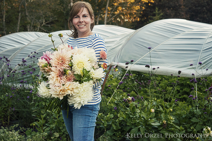 Harvesting Dahlias | Kelly Orzel