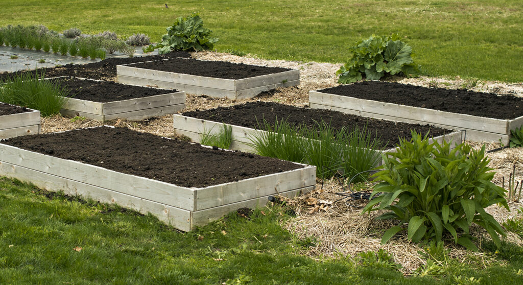 No-Dig Gardening and Compost for a Healthy Veggies, Herbs and Flowers