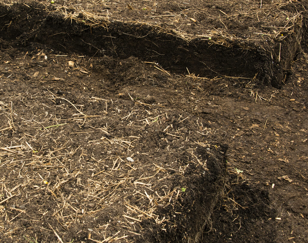 No-Dig Gardening and Compost for a Healthy Veggies, Herbs and Flowers