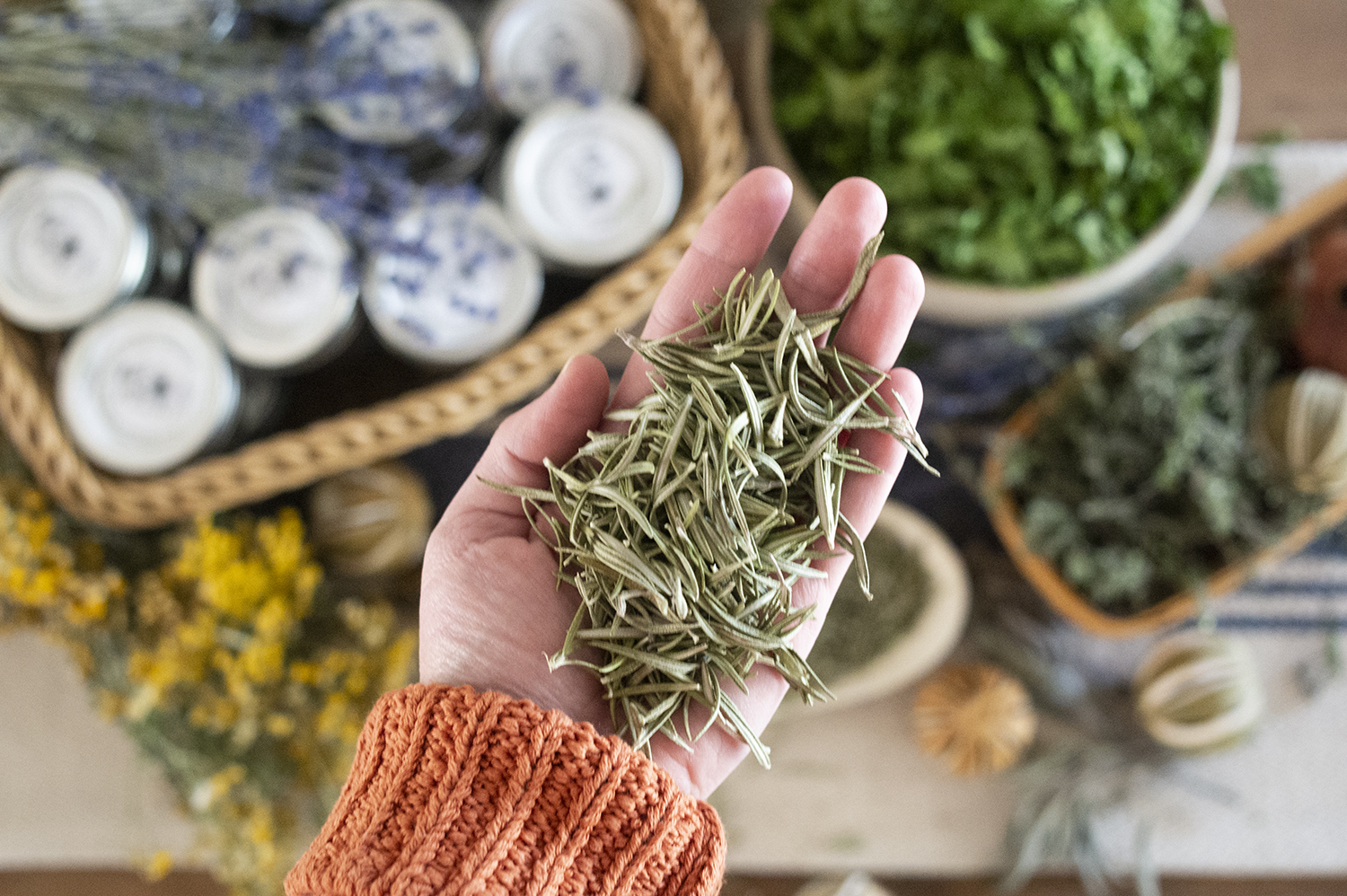 Edible Herbs, Herbs you MUST Grow for the Kitchen Gardens